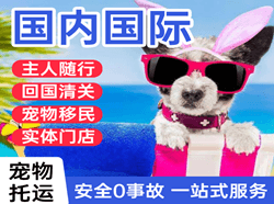 北京首都航空物流国际宠物托运 【国